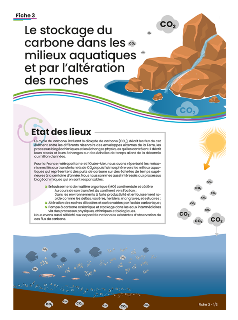 Design document Stockage du carbone dans les milieux aquatiques