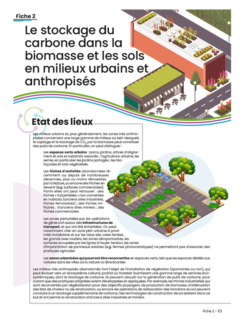 Stockage du carbone dans la biomasse et les sols en milieux urbains