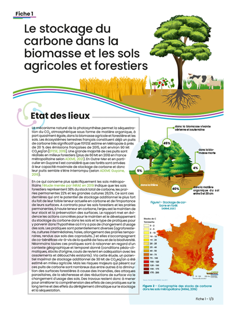 Stockage carbone dans la biomasse et les sols agricoles et forestiers