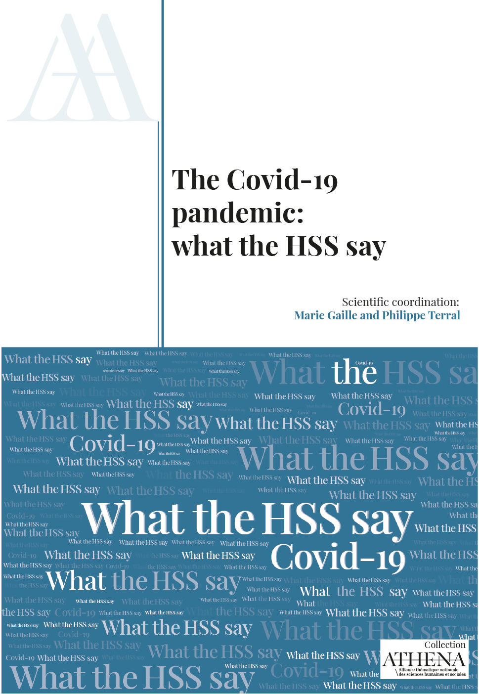Covid couv The Covid-19 pandemic: what the HSS say